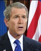 Bushscared