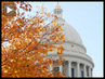 Congress-leaves