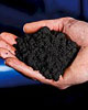 Johns Hopkins University Responds to Allegations Toxic Sludge Tested as Lead Poisoning Fix in Poor Black Neighborhoods
