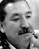 Peltier-web