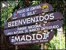 Madidi_web