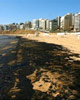 Beirutoilspill