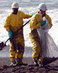 Oilspillweb