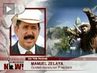 Zelaya-web