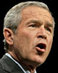 Bushgod