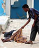 Former UN Spokesperson Salim Lone: International Community Turning Blind Eye to Worsening Somalia Crisis