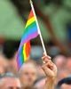 Gay-flag-web