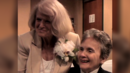 Edie_thea_marriage