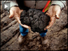 Tarsands_copy