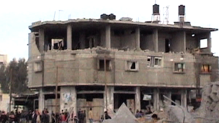 _where_should_the_birds_fly_