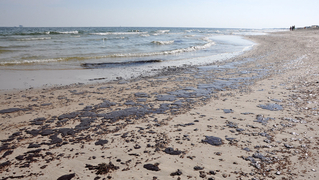 Gulf Coast beach