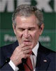 Bush3