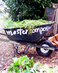 Compost-web
