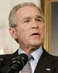 Bush3-21
