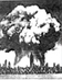 U.S. Marks Hiroshima Anniversary By Holding Top Secret Summit to Discuss Expanding Nation's Nuclear Arsenal