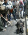 Robert Fisk: "Most Of The People Dying In Iraq Are Iraqis"