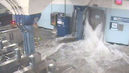 Path_flood