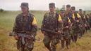 Farc_03