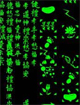 Matrix