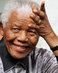 Mandelaweb