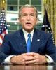 Bush5