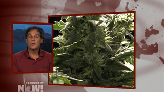 Martinlee-smokesignals