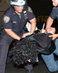 RNC Aftermath: A Look at Undercover Cops, Preemptive Detention and Police Surveillance