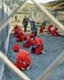 Lawyer: Guantanamo Detainees on Hunger  Strike Tortured and Violently Force-Fed by Guards, Medical Staff