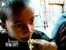 Foodweb_20091014