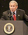 Bushunity