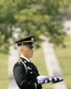 Arlingtonweb