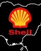 Shell-web