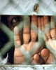 Rebuking Bush Admin, Justices Rule Gitmo Prisoners Can Challenge Imprisonment in US Court
