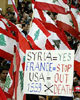 Lebanondemo