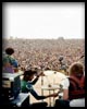 Woodstock-web2
