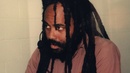 Timeline_12-15-2011_mumia-abu-jamal