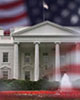 Whitehouse7