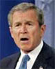 Bush52404