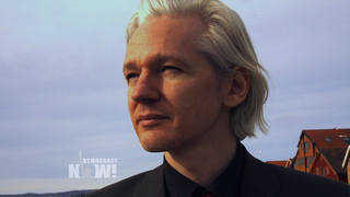 Assange2