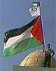 Pal_flag_5_23_06