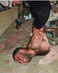 Lawyer Scott Horton: "Vice President Cheney is the Man Who Unleashed Torture and Promoted it Within Our Military and Our Intelligence Service"