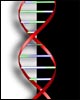 Dna-2-web