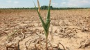 Drought-2