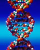 Dna01