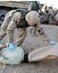 Iraqdetainee