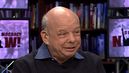 Wallace_shawn3
