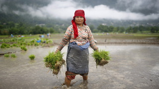 Women-climate