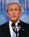 Bush6.29
