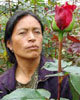 Valentine's Day: Labor Conditions at US-Owned Plantations Show Hidden Realities of Flower Industry