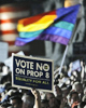 Prop8web